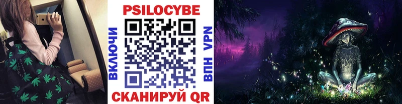 где можно купить   Малоархангельск  Галлюциногенные грибы прущие грибы 